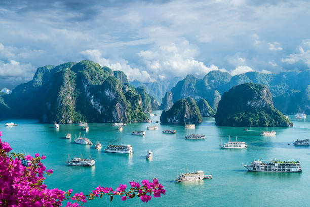  Tuor Hạ Long 1 ngày